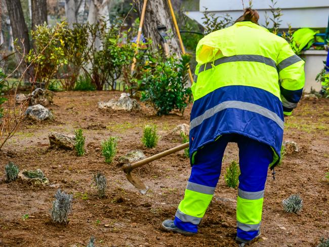 Desde el pasado mes de noviembre se han incorporado al Ayuntamiento de Torrejón de Ardoz un total de 133 desempleados en varios programas de la Consejería de Economía, Hacienda y Empleo