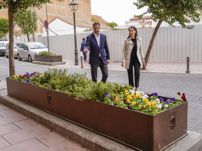 La Zona Centro de Torrejón de Ardoz cuenta con nuevas y elegantes jardineras que contribuyen al embellecimiento de esta parte de la ciudad