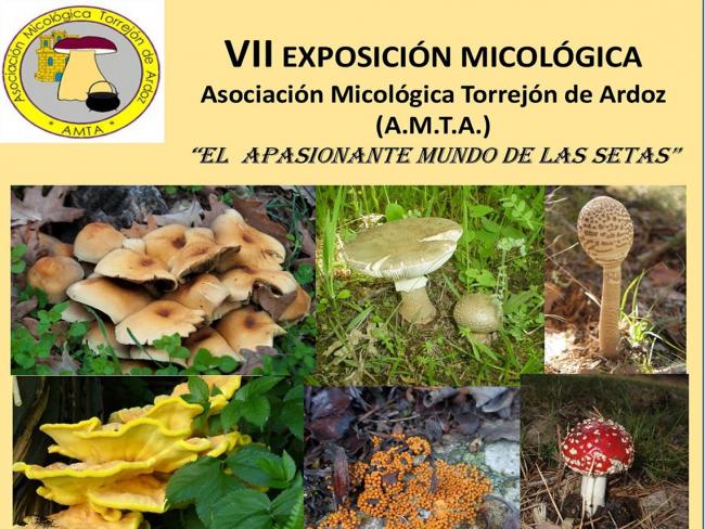 VII exposición micológica “El apasionante mundo de las setas”