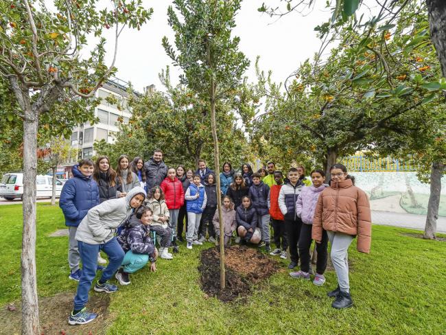 Torrejón de Ardoz conmemora el 44 aniversario de la Constitución española con la plantación de un nuevo madroño en el Parque Constitución 