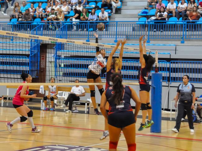Club Voleibol Torrejón