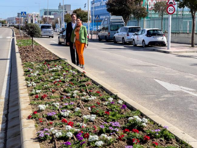 Se está renovando con la plantación de 73 árboles y miles de plantas la ornamentación vegetal de 2,2 kilómetros de medianas de las avenidas Fronteras y Constitución, gracias al Plan de Mejora Estética de la Ciudad