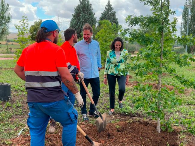 Con los 520 nuevos árboles plantados en el parque Miradores de Soto Henares, en los últimos 4 años Torrejón de Ardoz se ha reforestado con 12.557 árboles nuevos