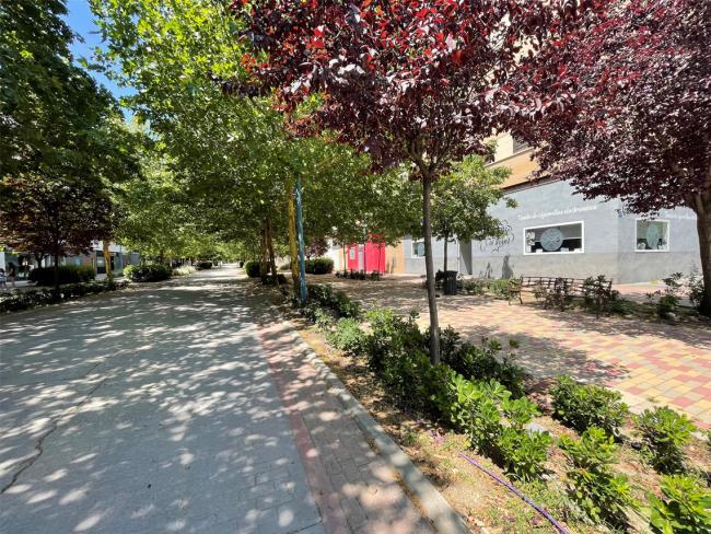 Renovado y mejorado el ajardinamiento de las calles Francisco Salzillo y Rosalía de Castro de Soto Henares con más de 8.000 plantas