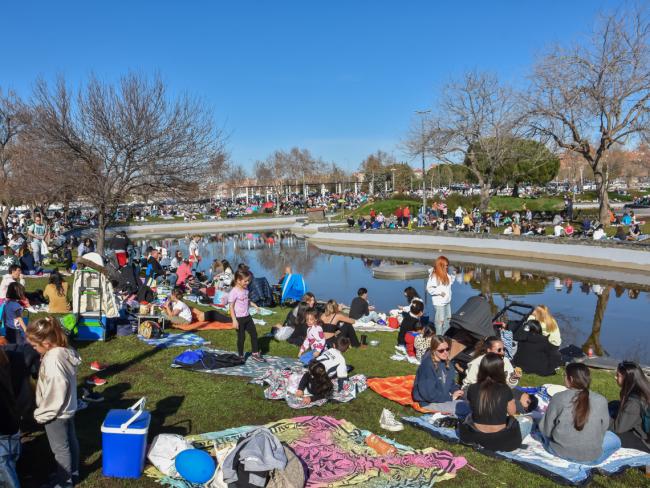 Masiva participación de los torrejoneros en el Día de la Tortilla