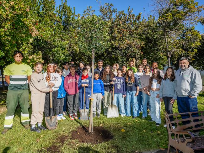 El alcalde, Alejandro Navarro Prieto, la concejala de Medio Ambiente, Esperanza Fernández, y alumnos del CEIP Gabriel y Galán, plantando el madroño 46 del Parque Constitución