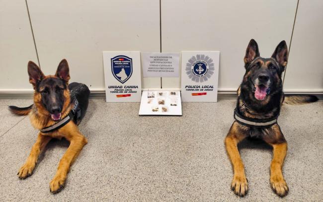 La Unidad Canina de la Policía Local de Torrejón de Ardoz realizó, el pasado verano, 13 incautaciones de sustancias estupefacientes en las piscinas municipales