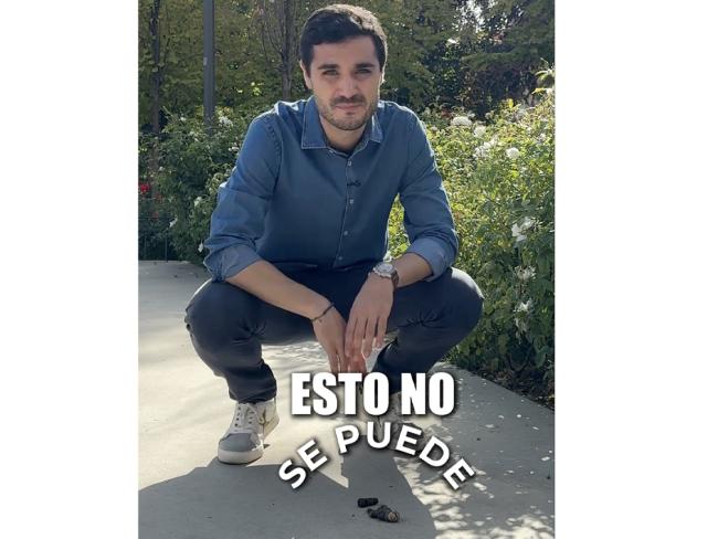 Sanciones desde 300 euros para los propietarios que no recojan los excrementos de sus mascotas