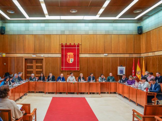 El Pleno del Ayuntamiento de Torrejón de Ardoz aprueba por unanimidad una declaración institucional con motivo del Día Internacional de la Eliminación de la Violencia contra la Mujer