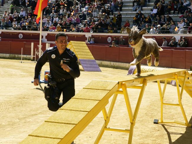 Imagen de la participación de la Unidad Canina de la Policía Local de Torrejón de Ardoz en la exhibición