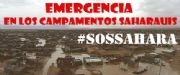 Imagen no disponible