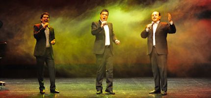 Imagen no disponible