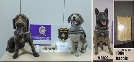 Imagen no disponible