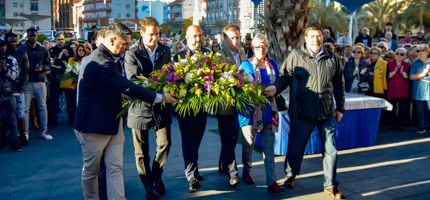 Imagen no disponible