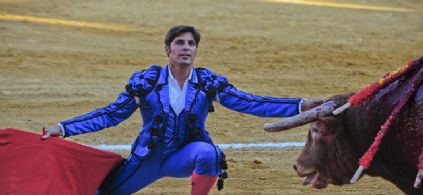 Imagen no disponible