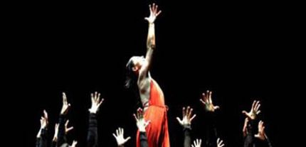 Imagen no disponible