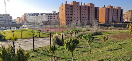 Imagen no disponible