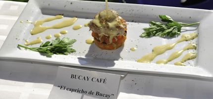 Imagen no disponible