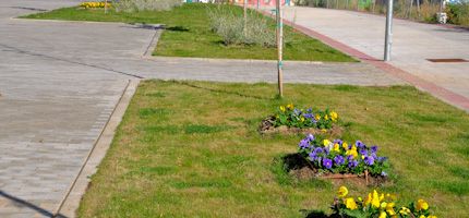 Imagen no disponible