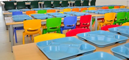 Imagen no disponible