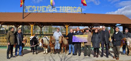 Imagen no disponible