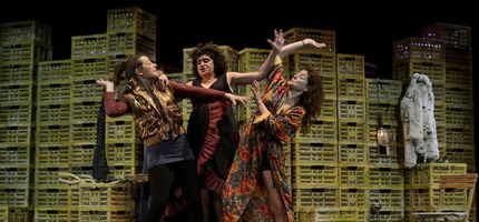 Imagen no disponible