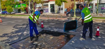 Imagen no disponible