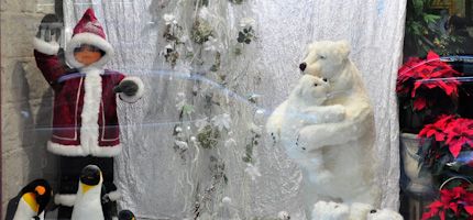 Imagen no disponible